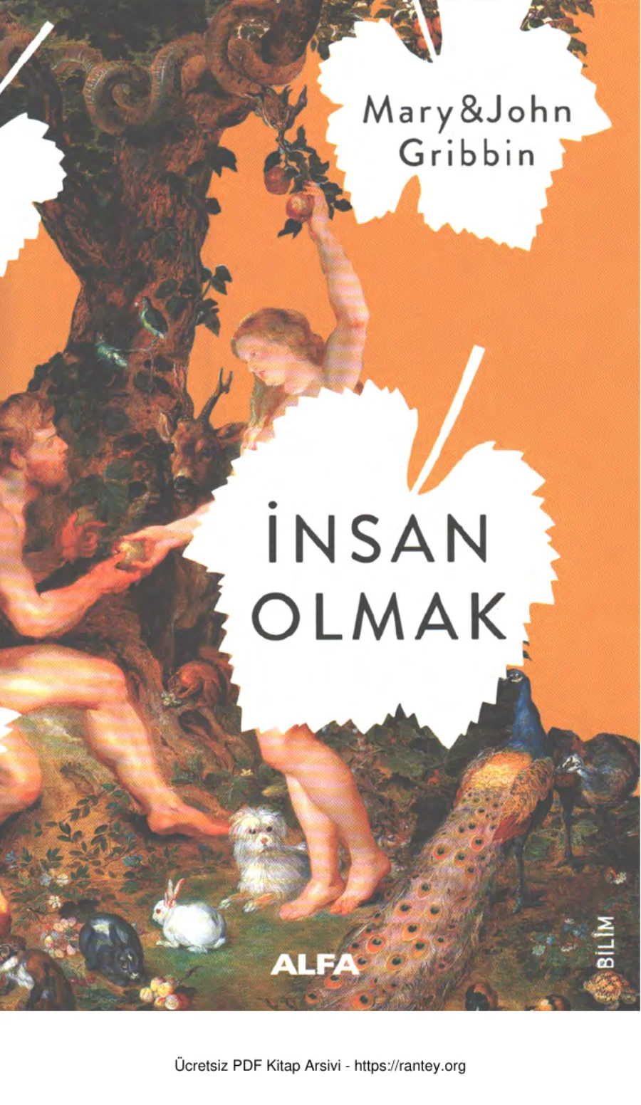 İnsan Olmak kapak görseli
