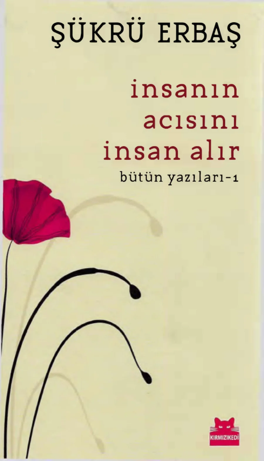 İnsanın Acısını İnsan Alır kapak görseli