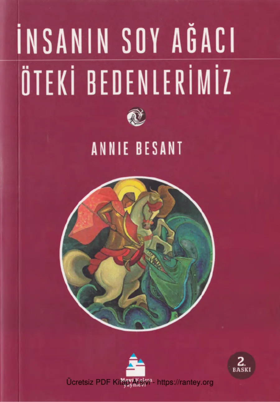 İnsanın Soy Ağacı Öteki Bedenlerimiz Mavi Kalem Yayınları kapak görseli