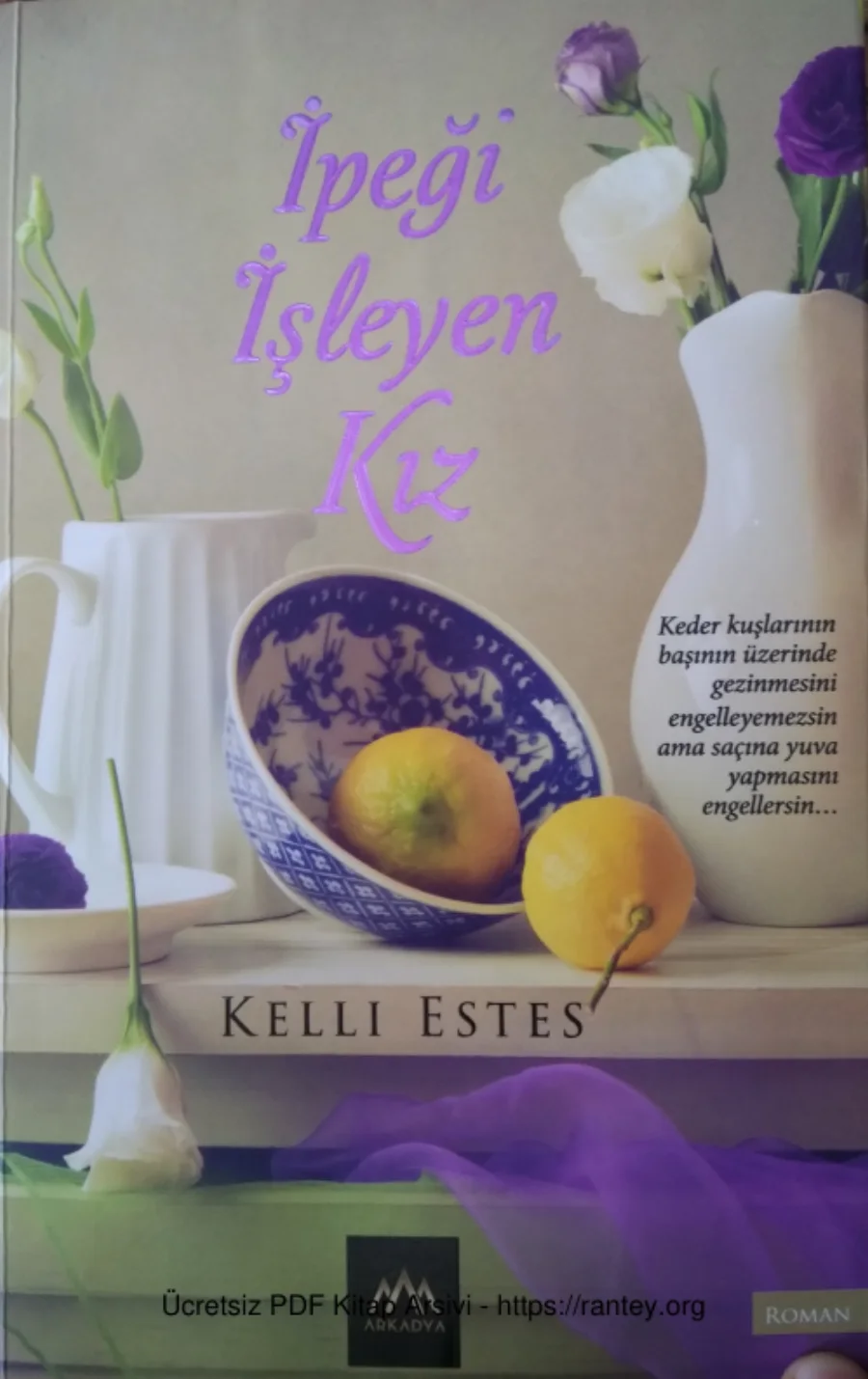 İpeği İşleyen Kız kapak görseli
