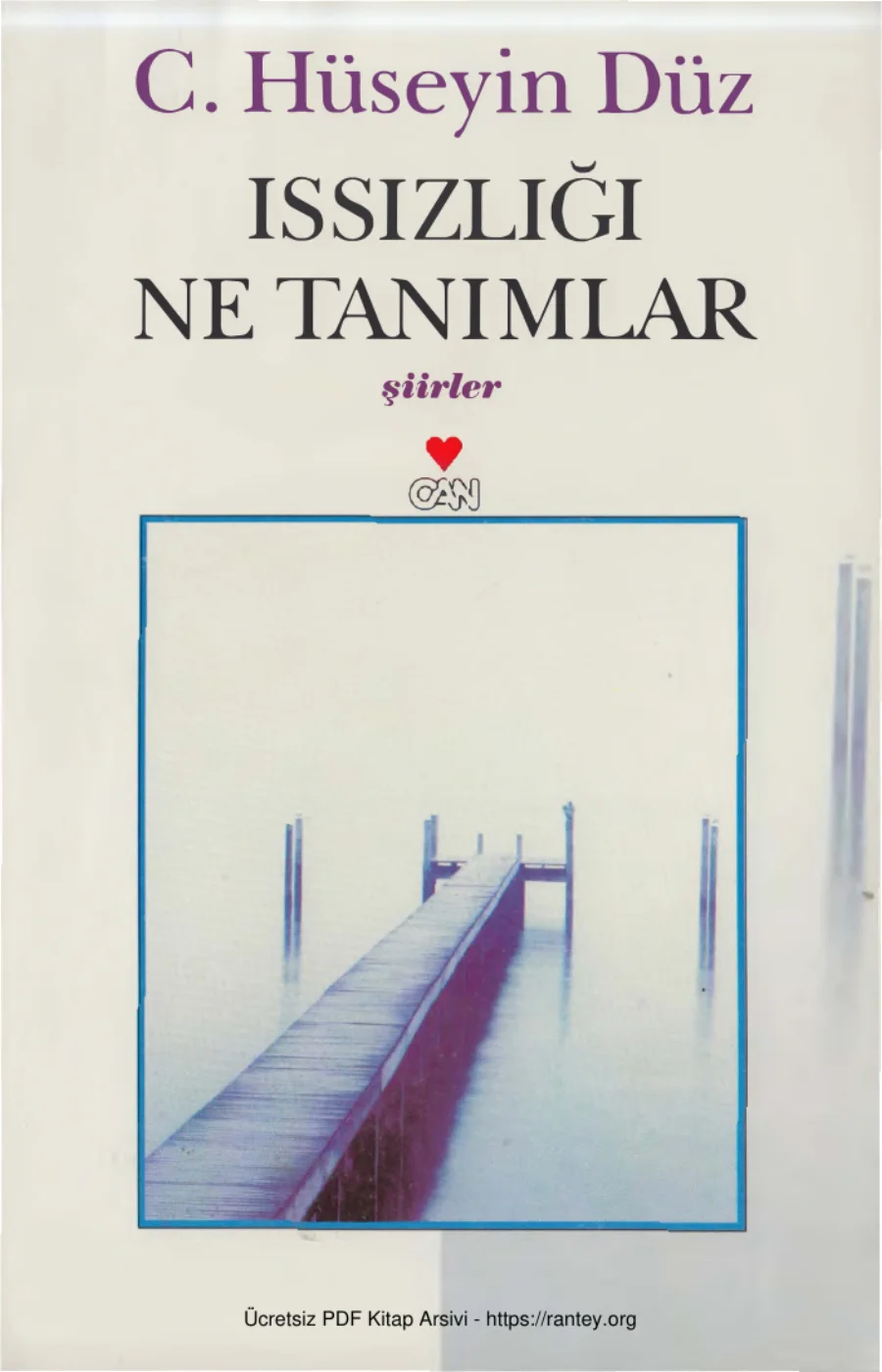 Issızlığı Ne Tanımlar kapak görseli