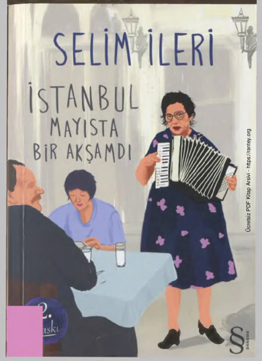 İstanbul Mayısta Bir Akşamdı kapak görseli