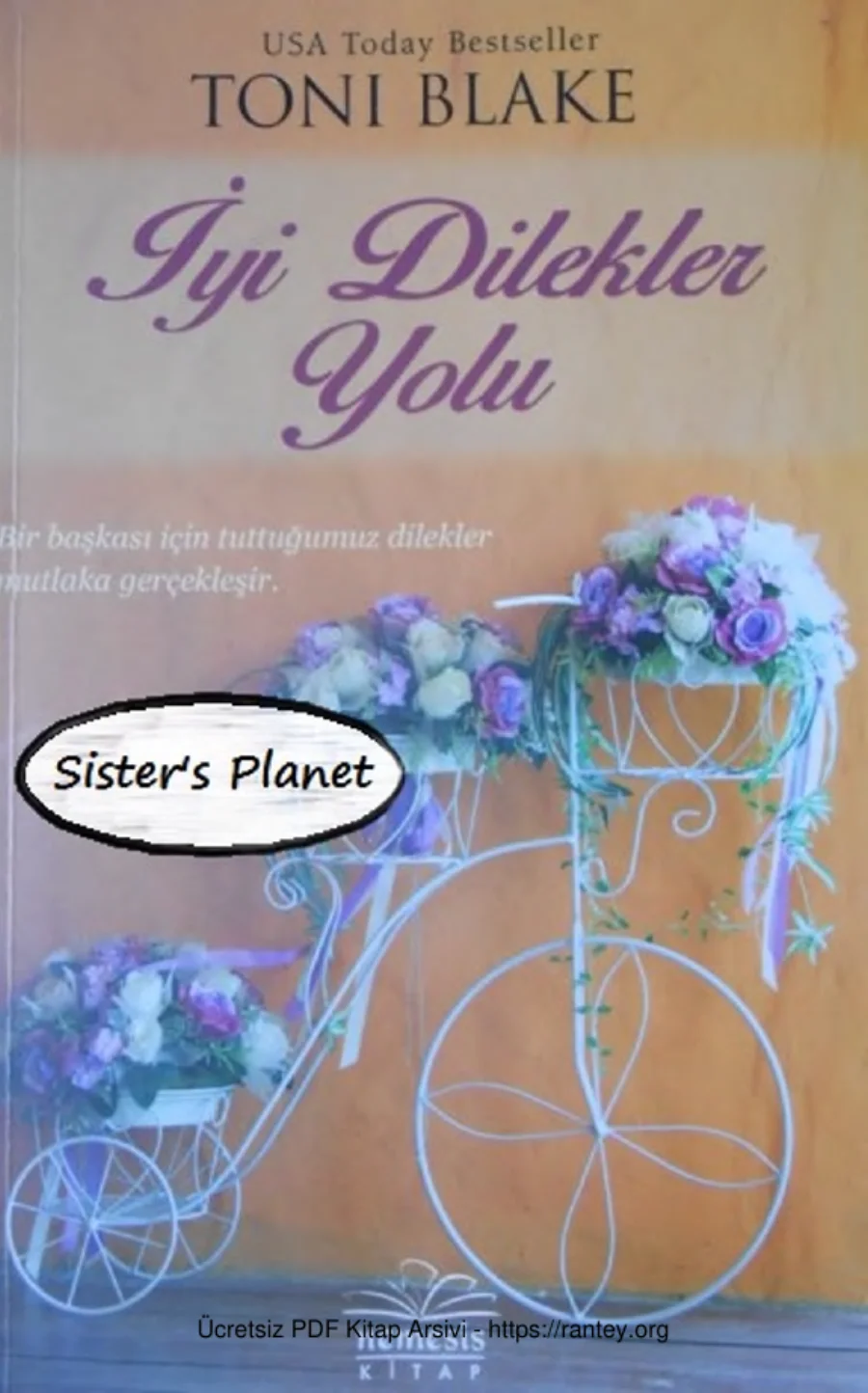 Iyi Dilekler Yolu Destiny Series 3 kapak görseli