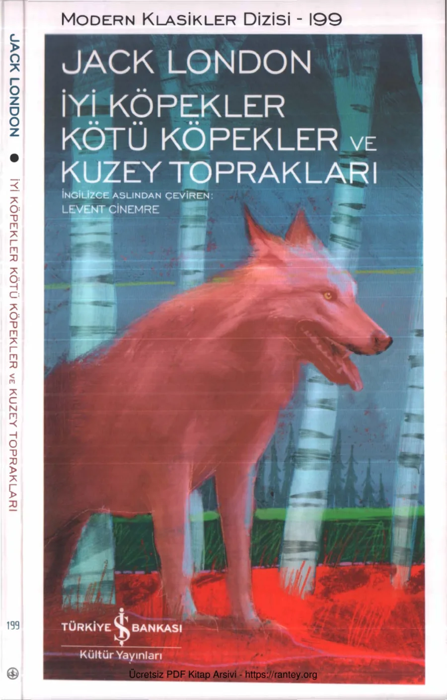 İyi Köpekler Kötü Köpekler ve Kuzey Toprakları kapak görseli