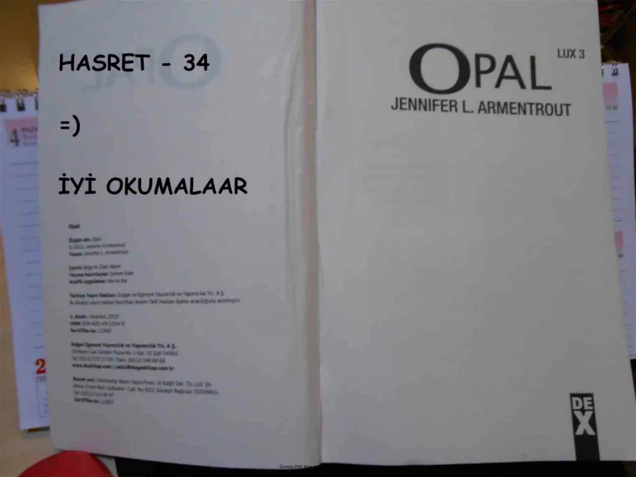 JENNİFER L ARMENTROUT OPAL kapak görseli