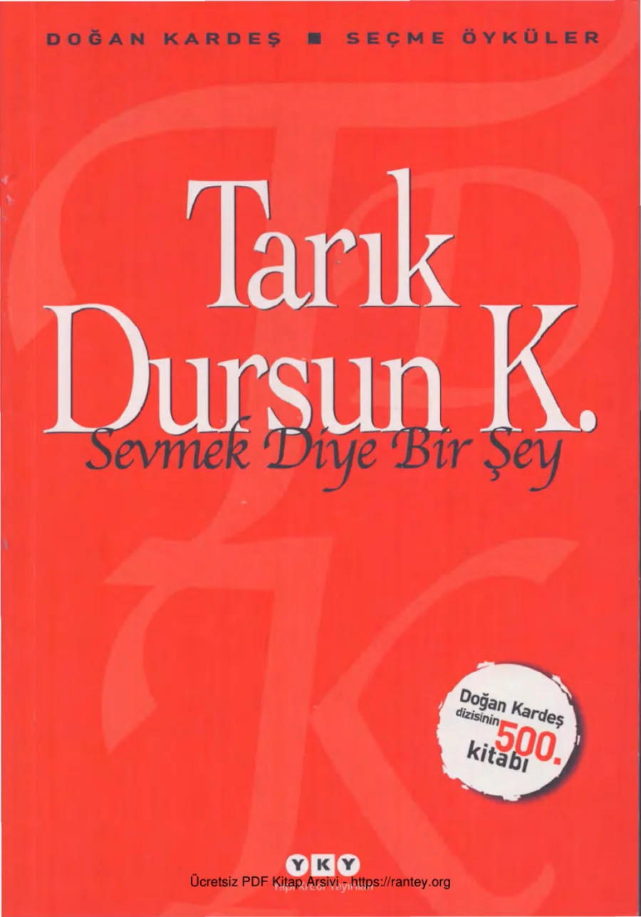 K Sevmek Diye Bir Şey kapak görseli