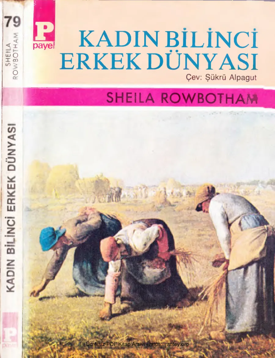 Kadın Bilinci Erkek Dünyası Payel Yay 1987 cs kapak görseli