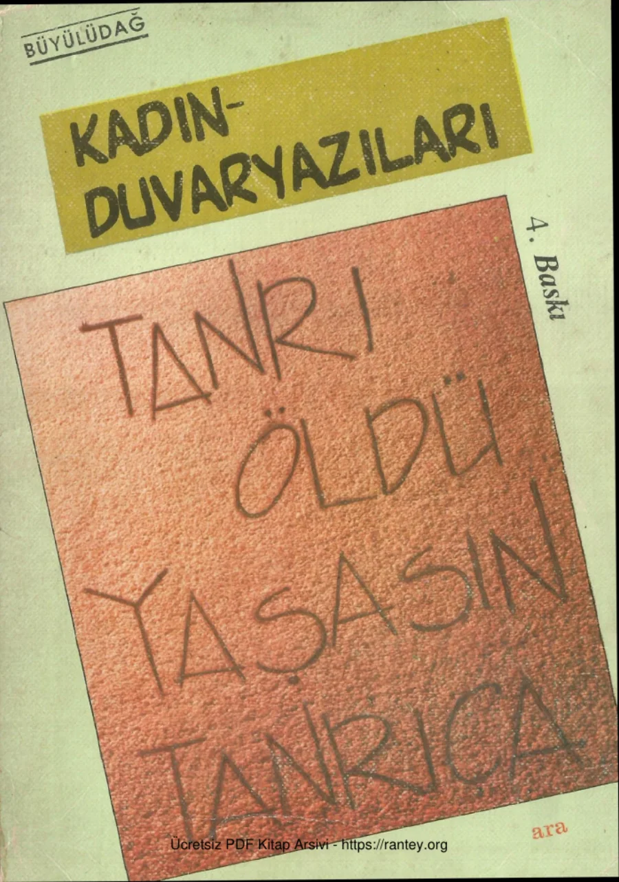 Kadın Duvar Yazıları kapak görseli