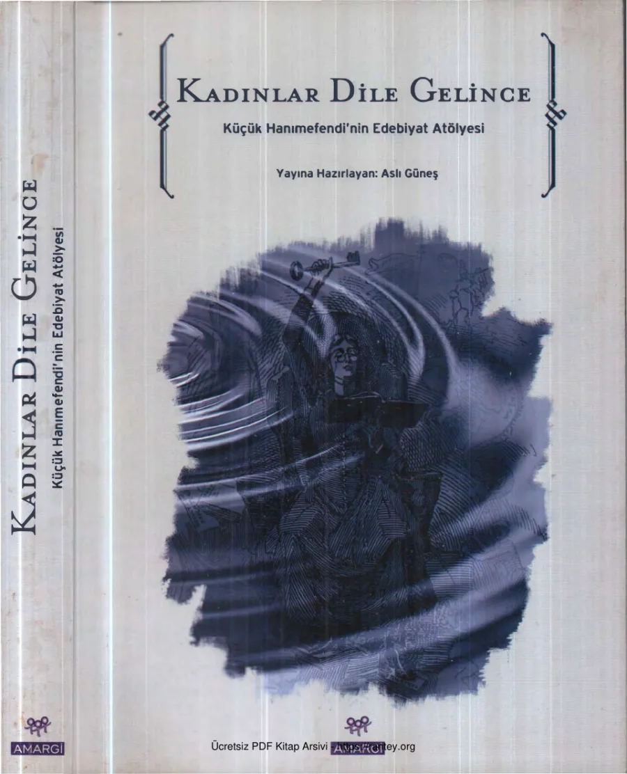 Kadınlar Dile Gelince Amargi Yayınları kapak görseli