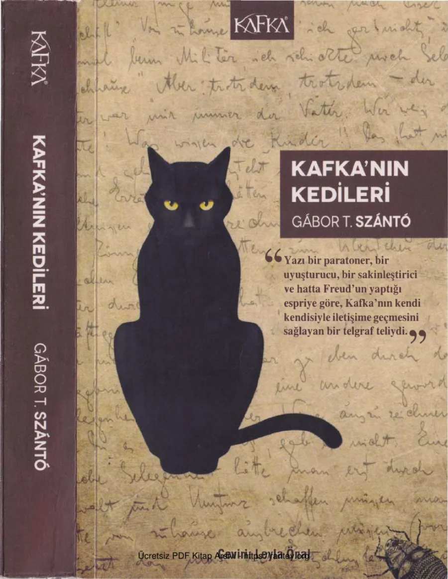 Kafkanın Kedileri Kafka Yayınları kapak görseli