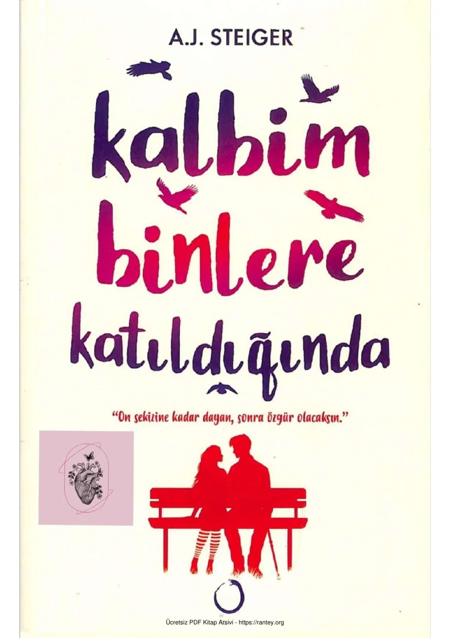 Kalbim Binlere Katıldığında Novella Yayınları kapak görseli