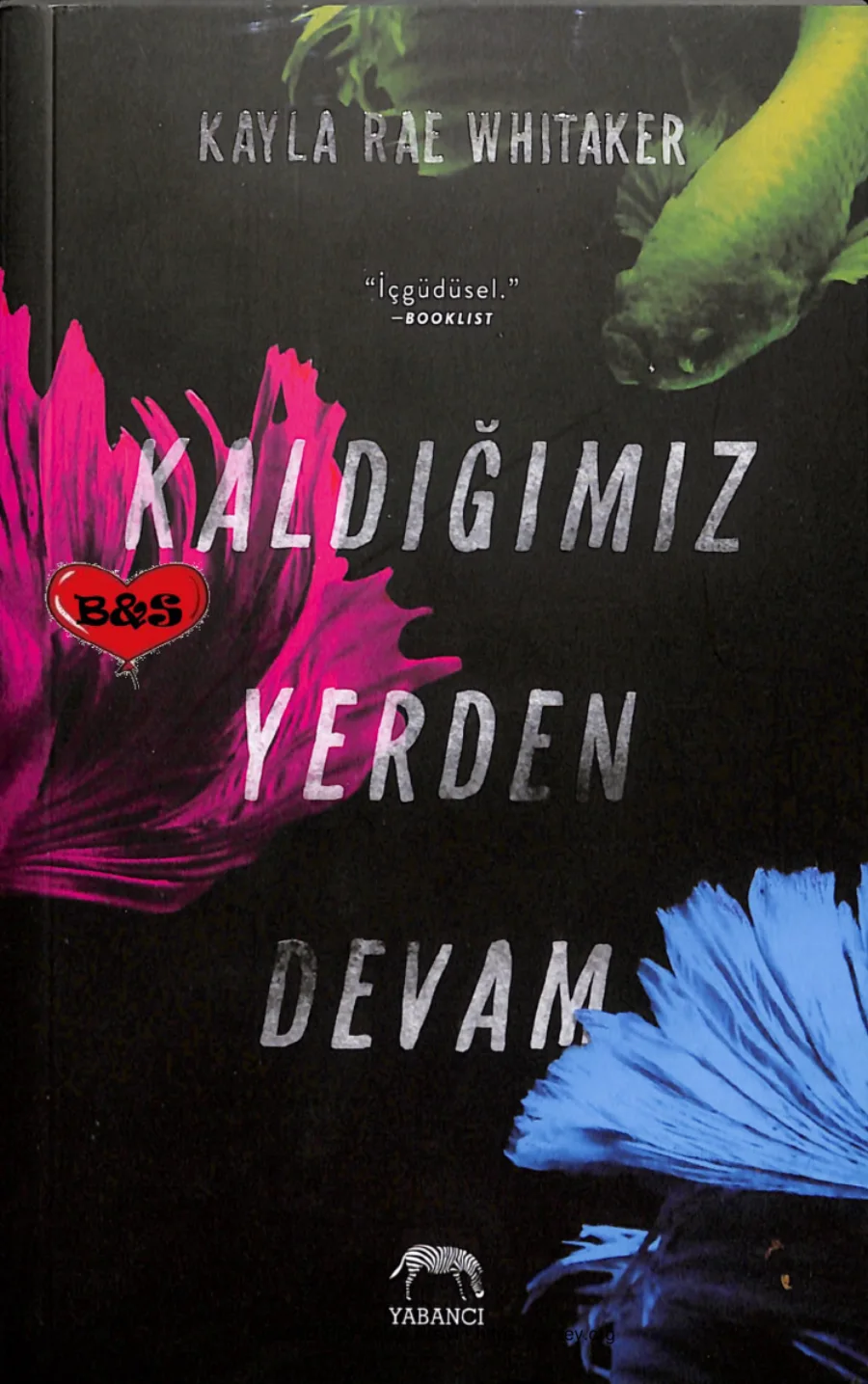 Kaldığımız Yerden Devam kapak görseli