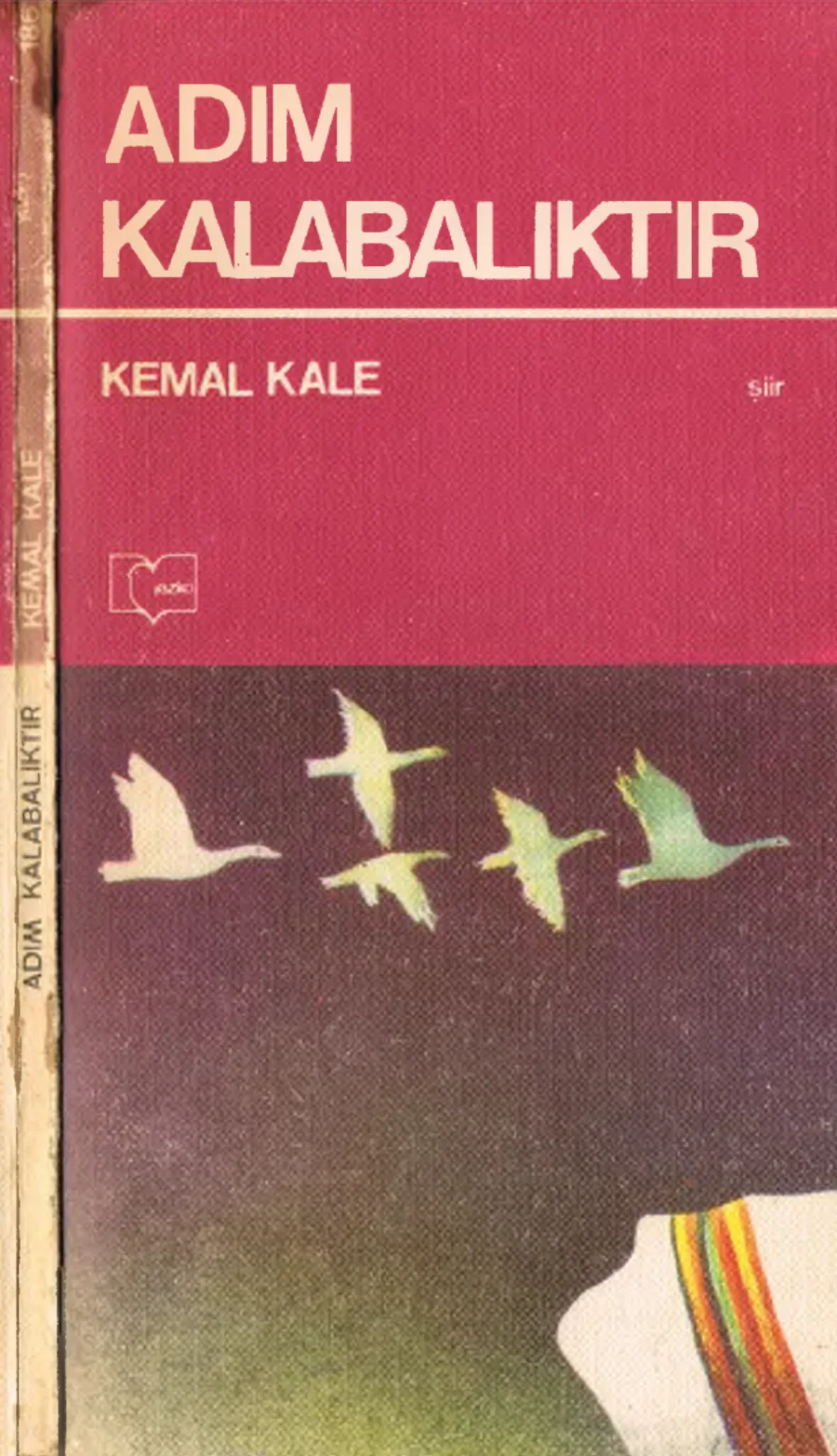 Kale Adım Kalabalıktır kapak görseli