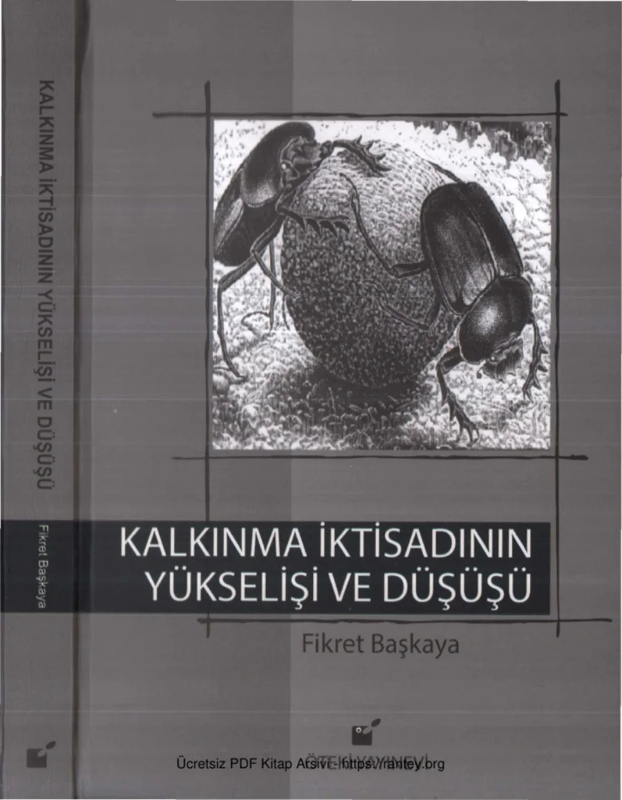 Kalkınma İktisadının Yükselişi ve Düşüşü kapak görseli