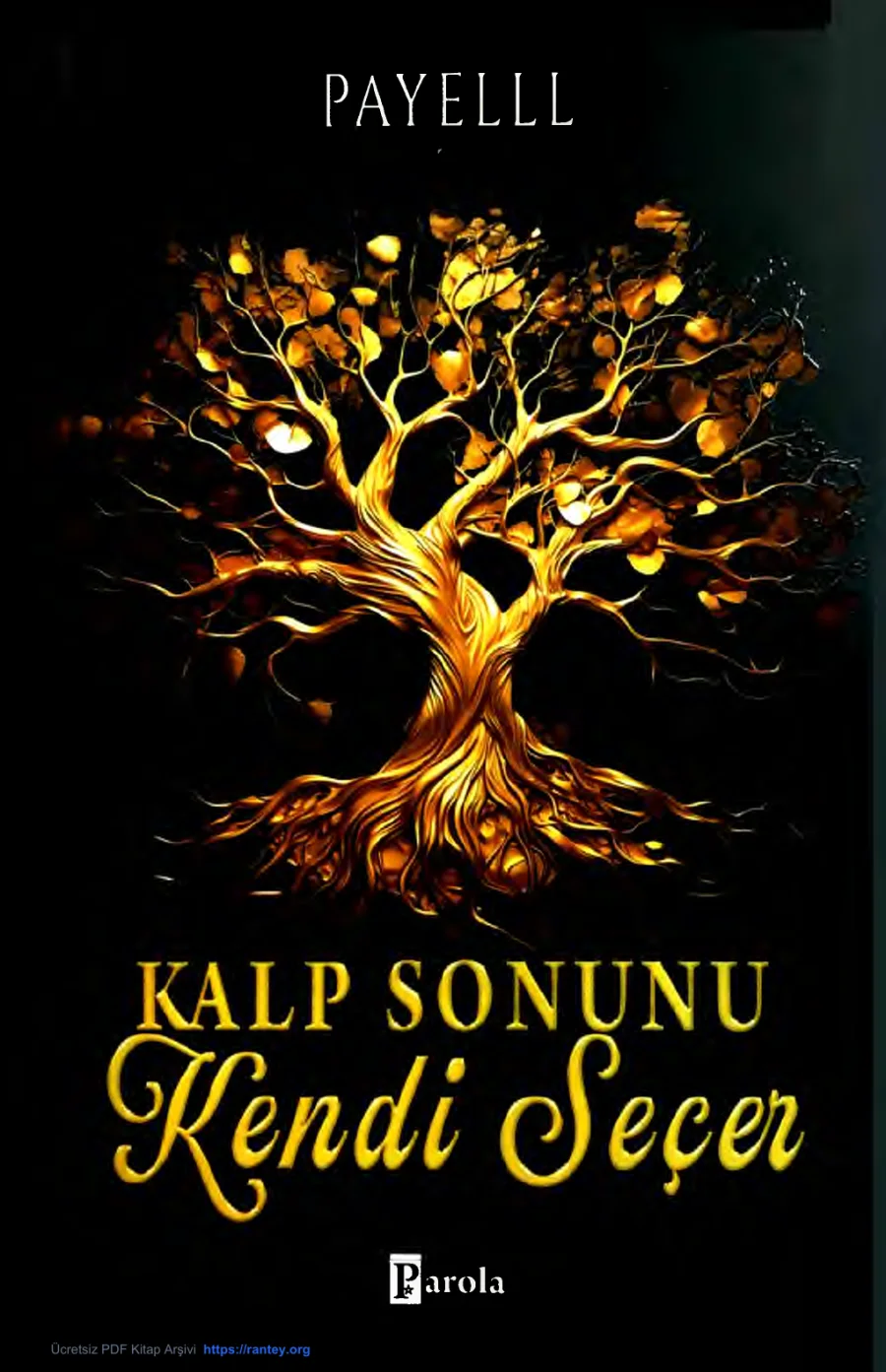Kalp Sonunu Kendi Seçer kapak görseli