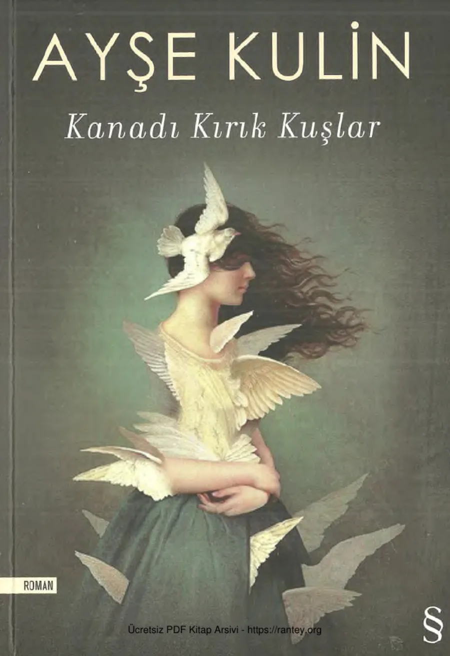 Kanadı Kırık Kuşlar kapak görseli
