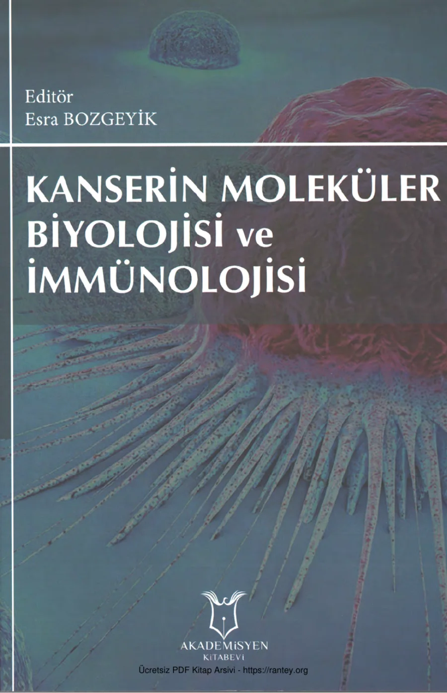 Kanserin Moleküler Biyolojisi ve İmmünolojisi kapak görseli