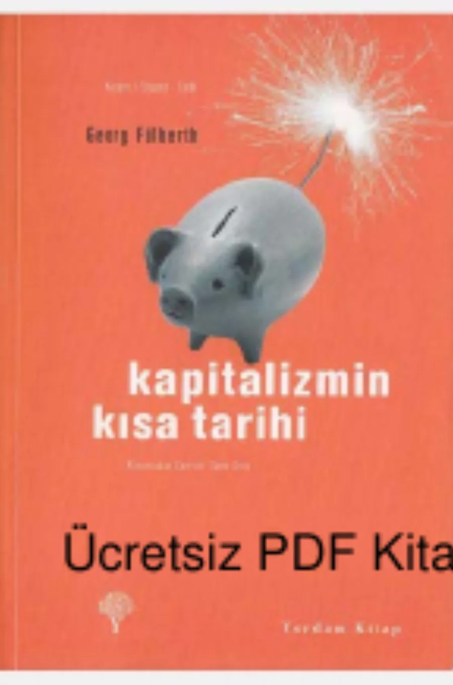 Kapitalizmin Kısa Tarihi kapak görseli