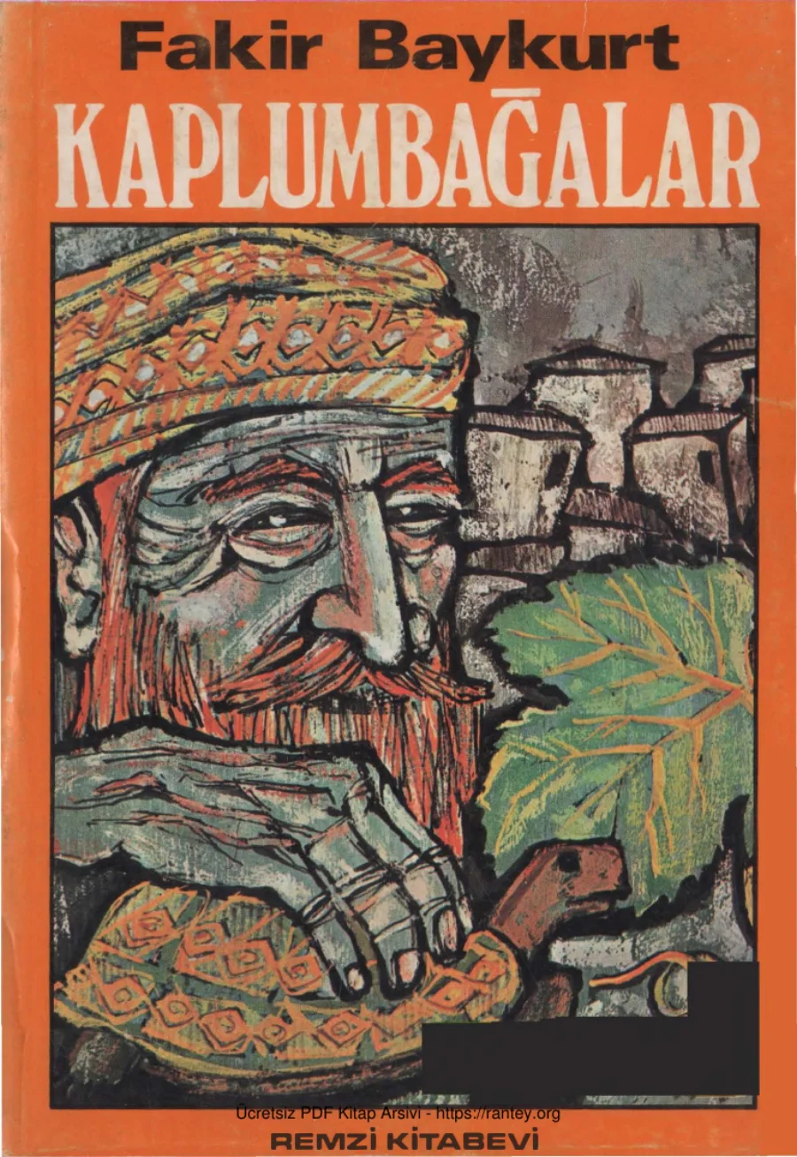 Kaplumbağalar kapak görseli