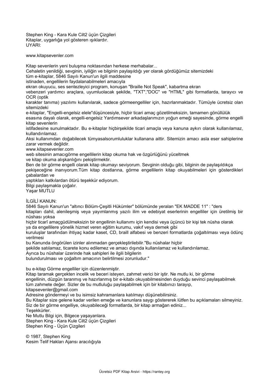 Kara Kule 2 Ucun Cizgileri kapak görseli