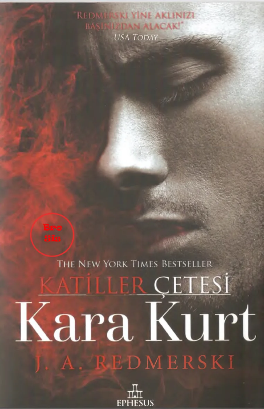 Kara Kurt kapak görseli