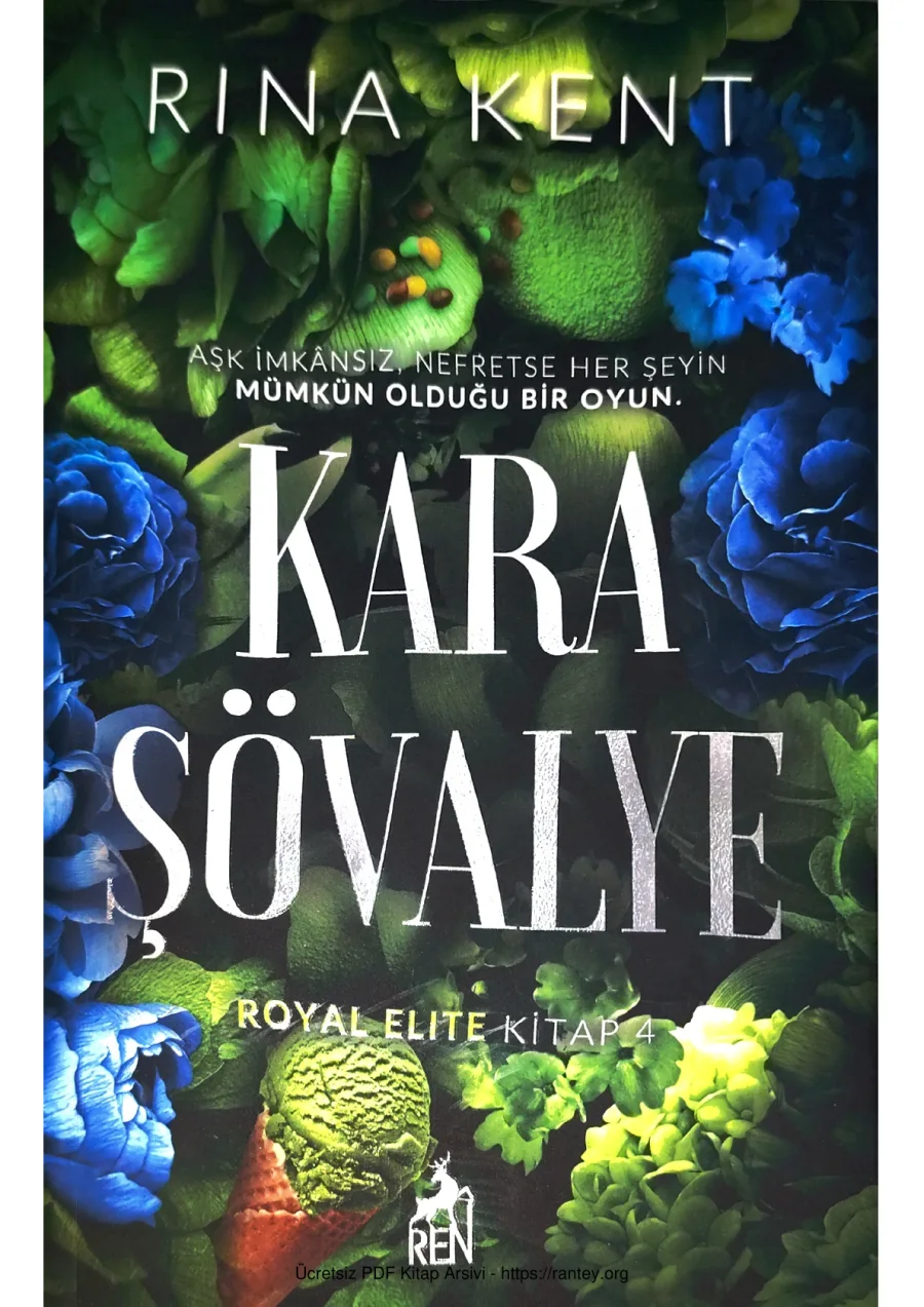Kara Şövalye kapak görseli