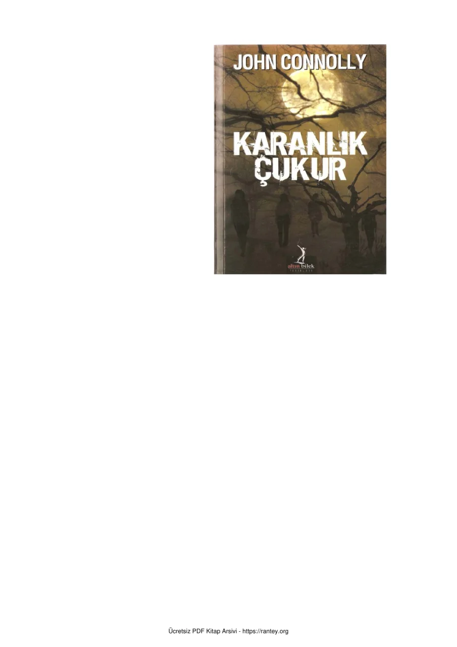 Karanlik Cukur kapak görseli