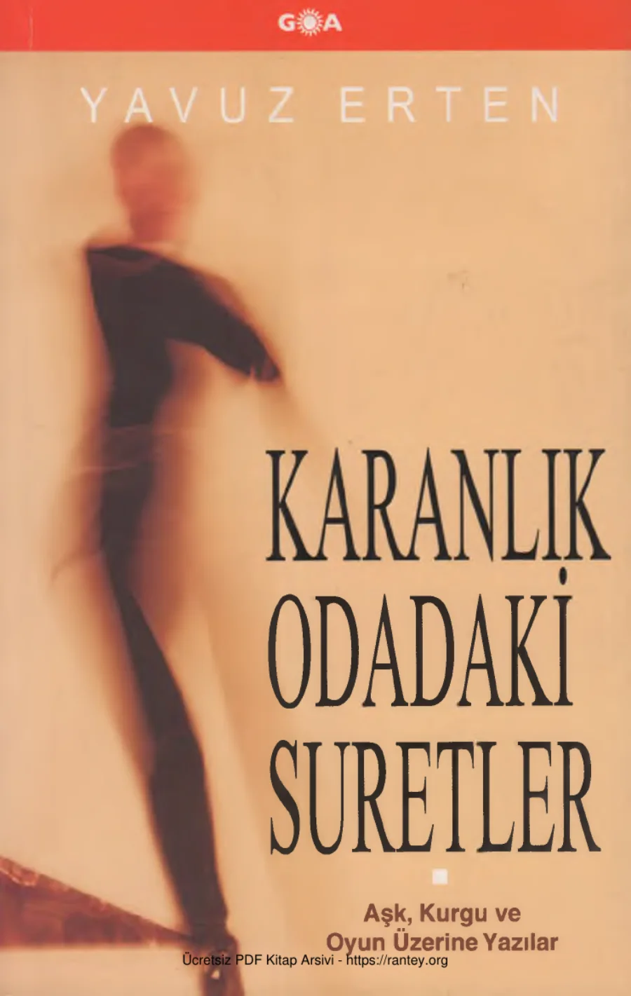 Karanlık Odadaki Suretler Goa Yayınları kapak görseli
