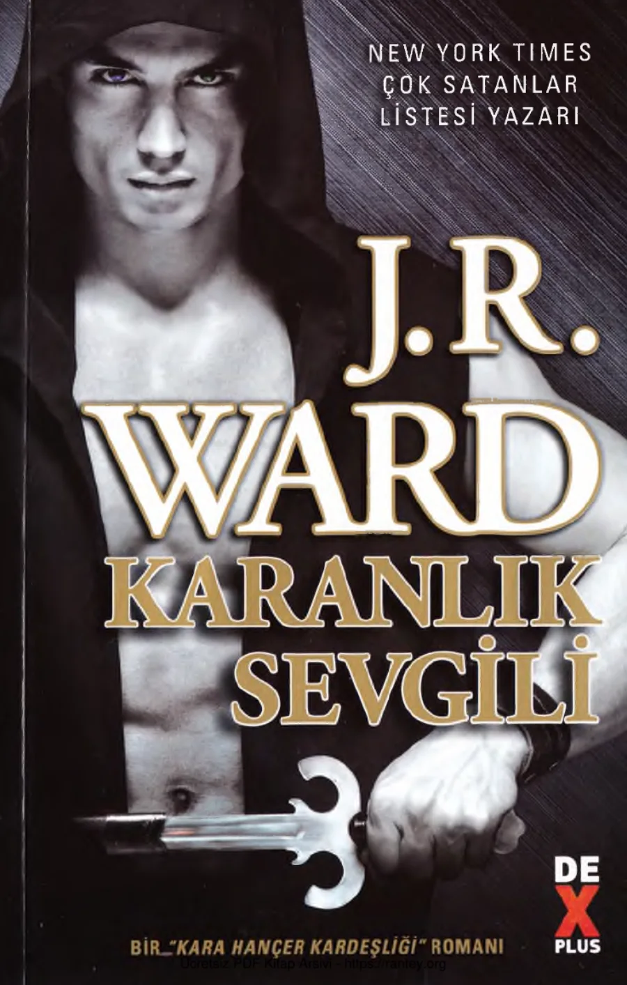 Karanlık Sevgili kapak görseli
