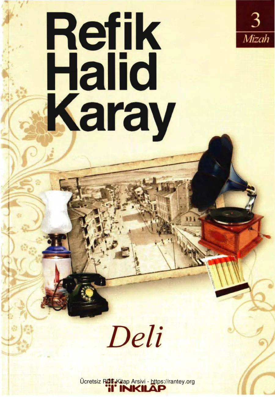 Karay Deli İnkılap Yayınları kapak görseli