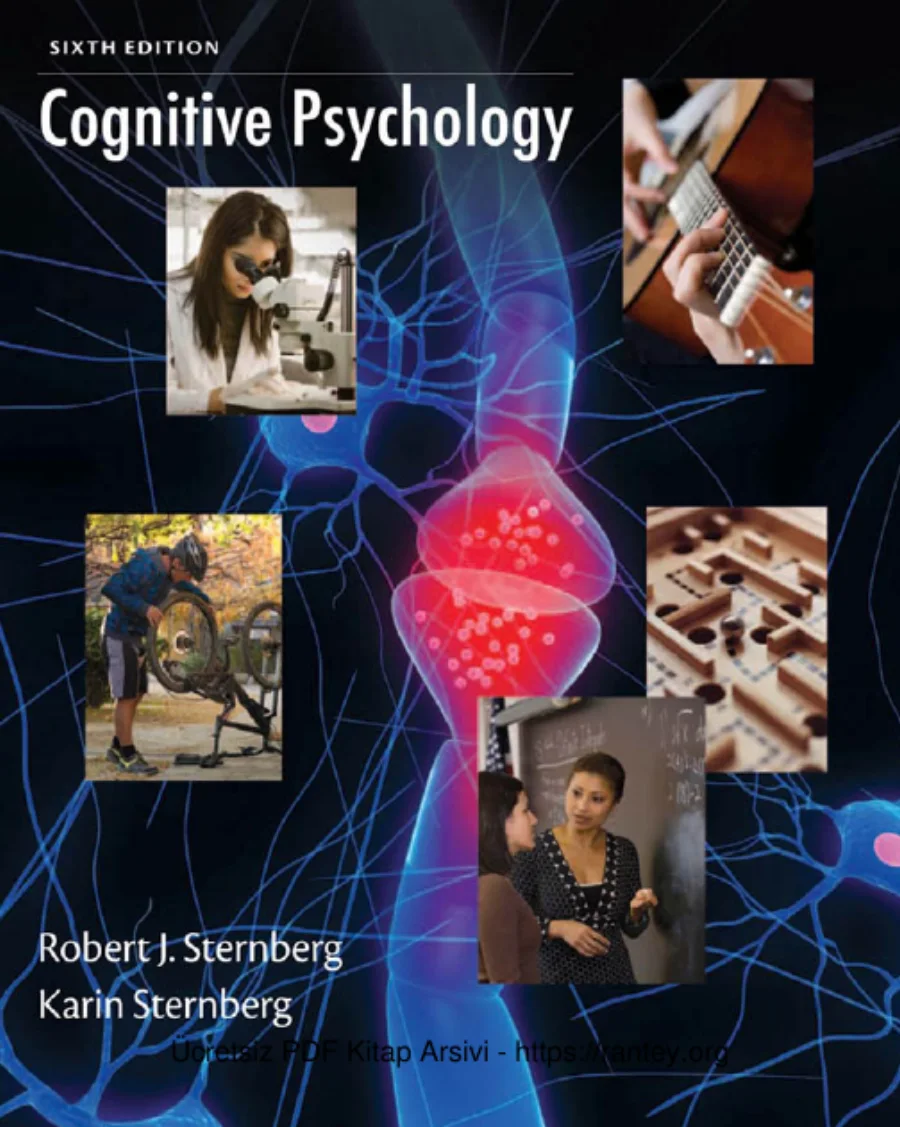 Karin Sternberg Cognitive Psychology kapak görseli
