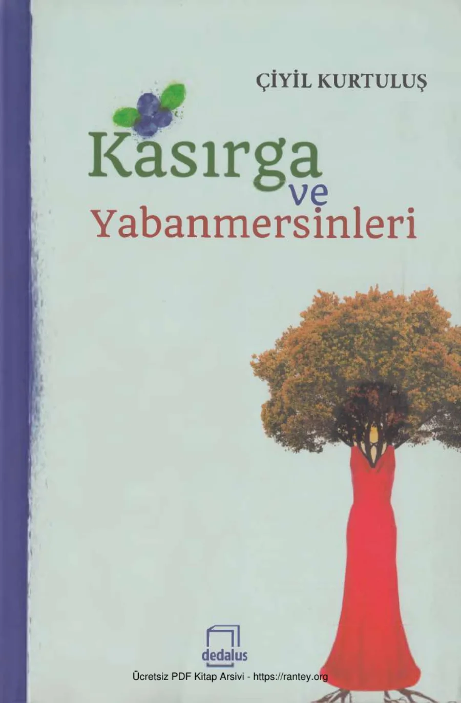 Kasırga ve Yabanmersinleri Dedalus Yayınları kapak görseli