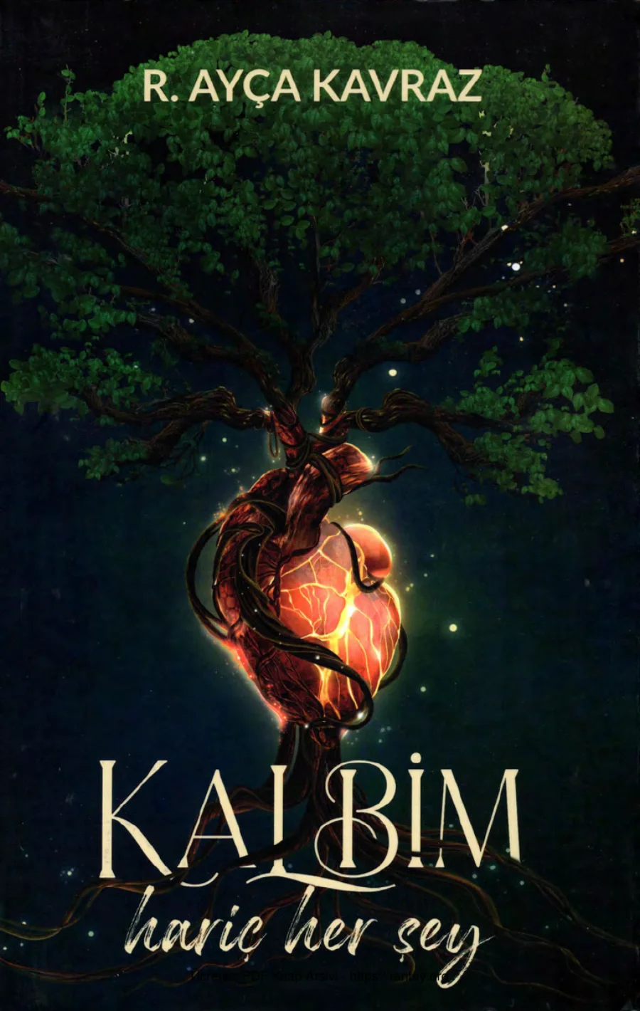 Kavraz Kalbim Hariç Her Şey kapak görseli