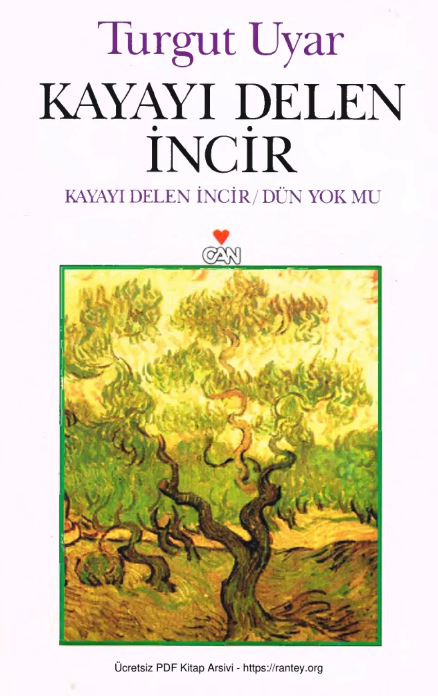 Kayayı Delen İncir Dün Yok mu kapak görseli