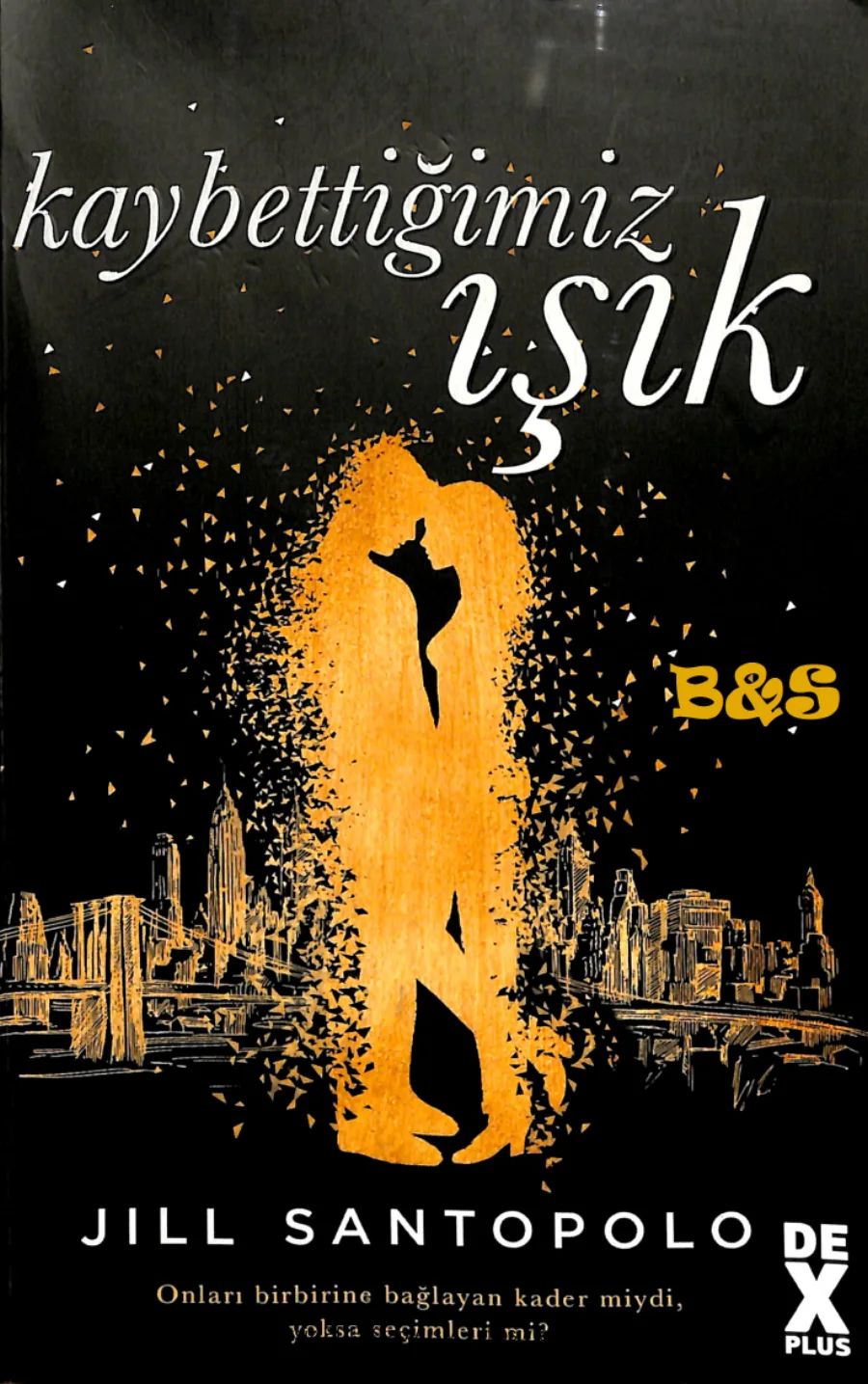 Kaybettiğimiz Işık kapak görseli