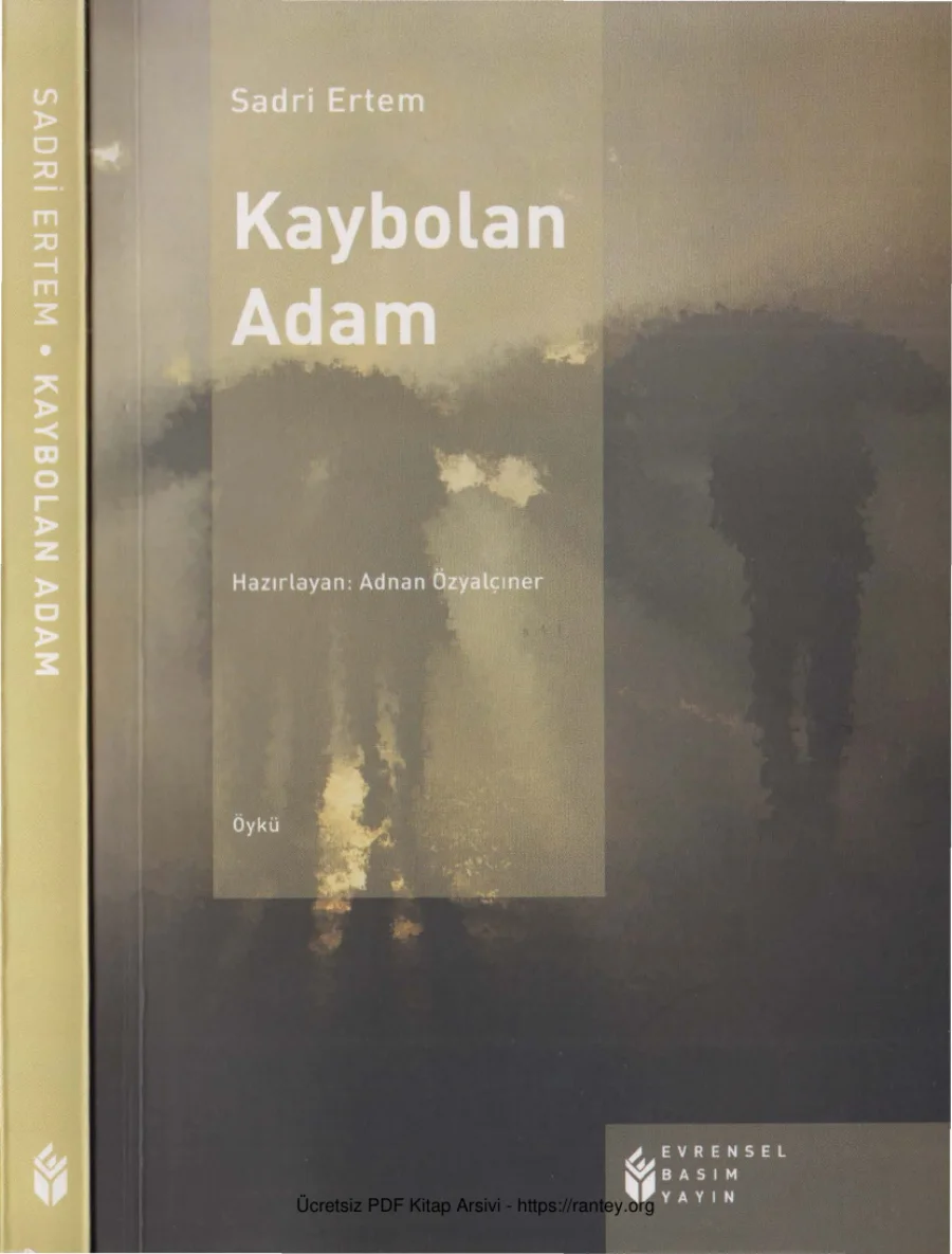 Kaybolan Adam kapak görseli
