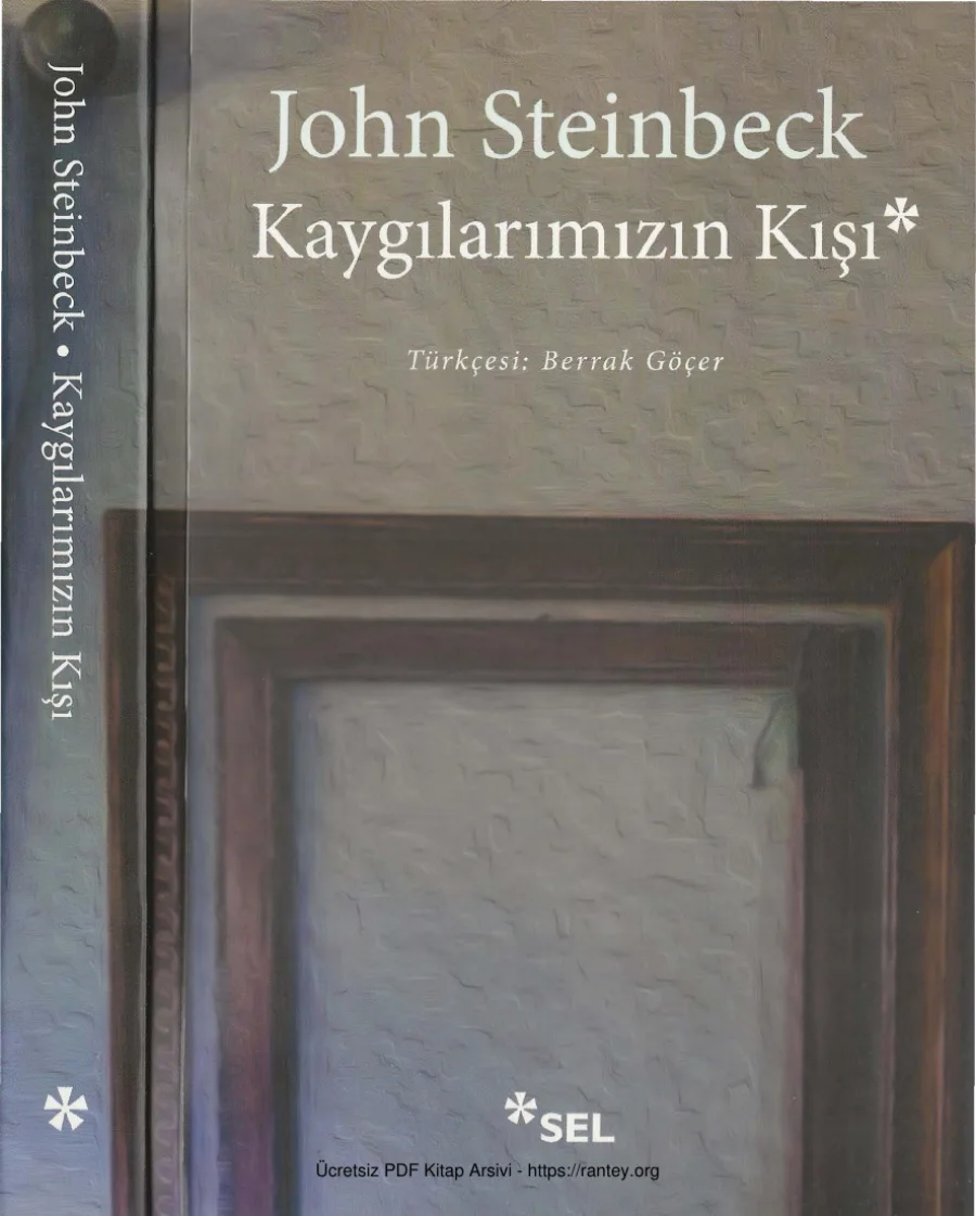 Kaygılarımızın Kışı Sel Yayınları kapak görseli