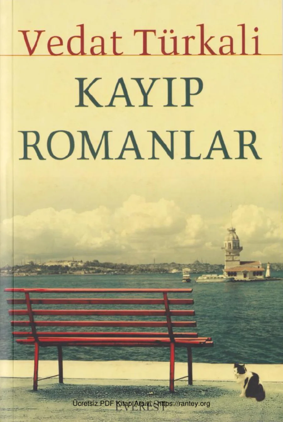 Kayıp Romanlar kapak görseli