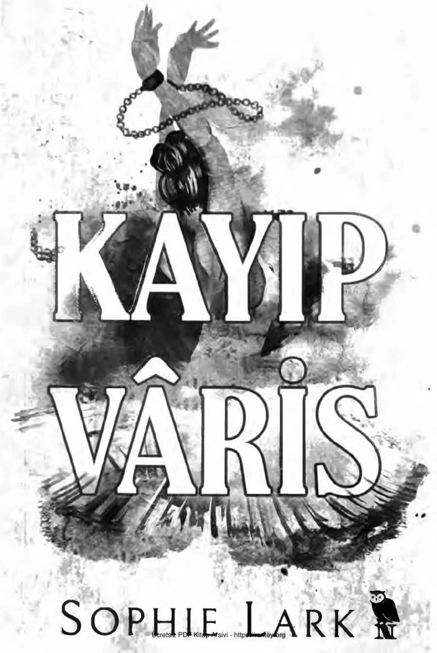 Kayıp Varis Sophei Lark Brutal Birthright 2 kapak görseli