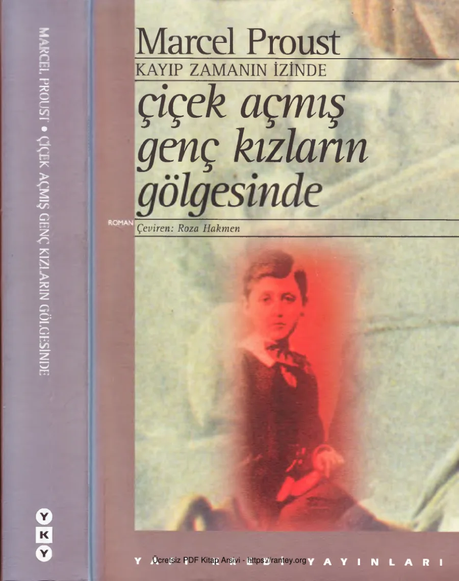Kayıp Zamanın İzinde Cilt II Çiçek Açmış Genç Kızların Gölgesinde kapak görseli
