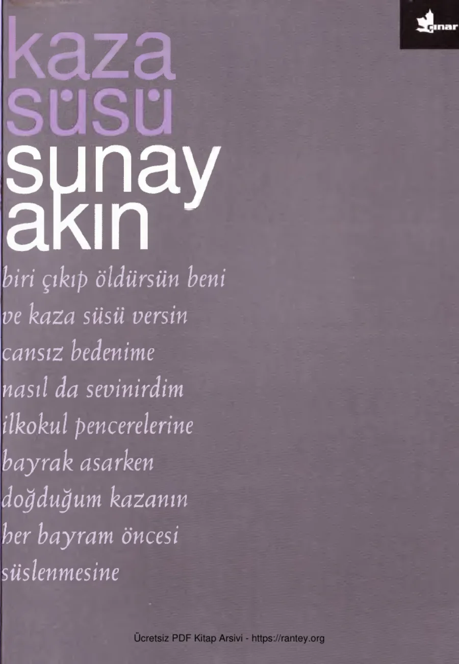 Kaza Süsü Çınar kapak görseli