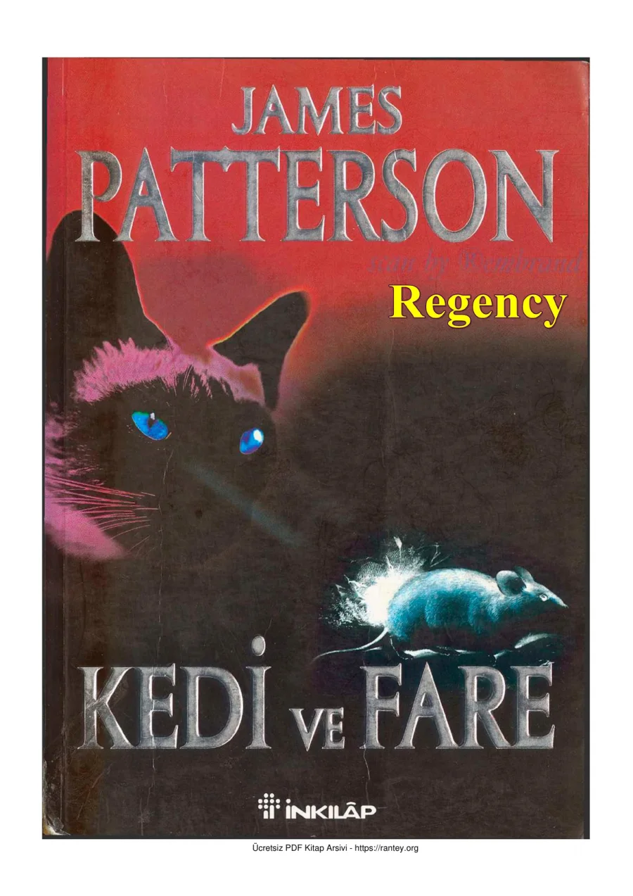 Kedi ve Fare kapak görseli