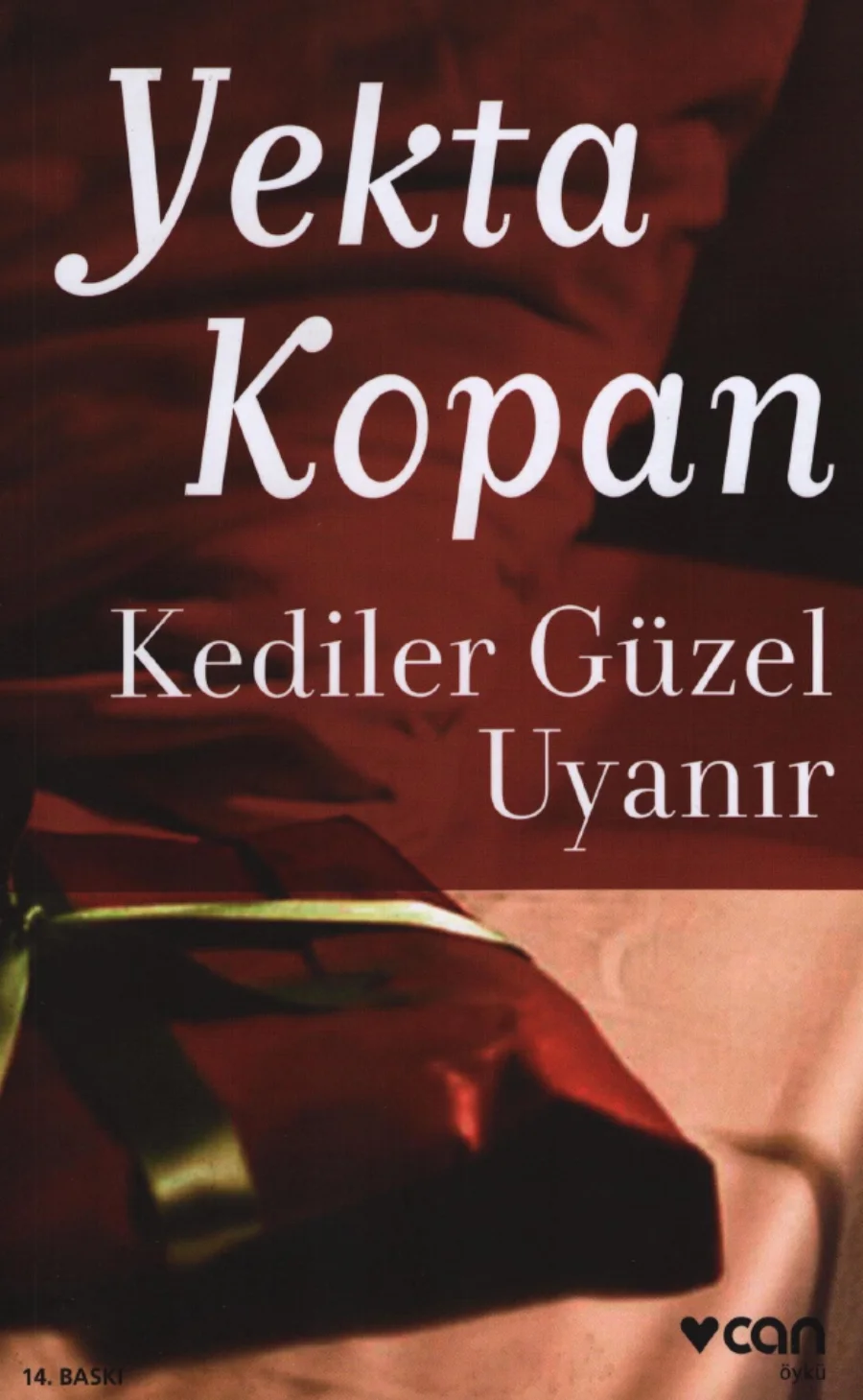 Kediler Güzel Uyanır kapak görseli