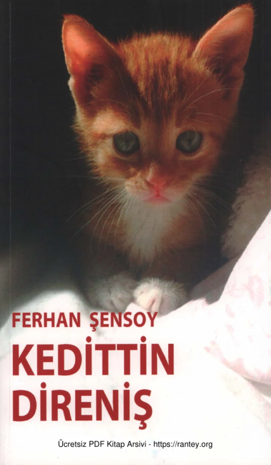 Kedittin Direniş kapak görseli