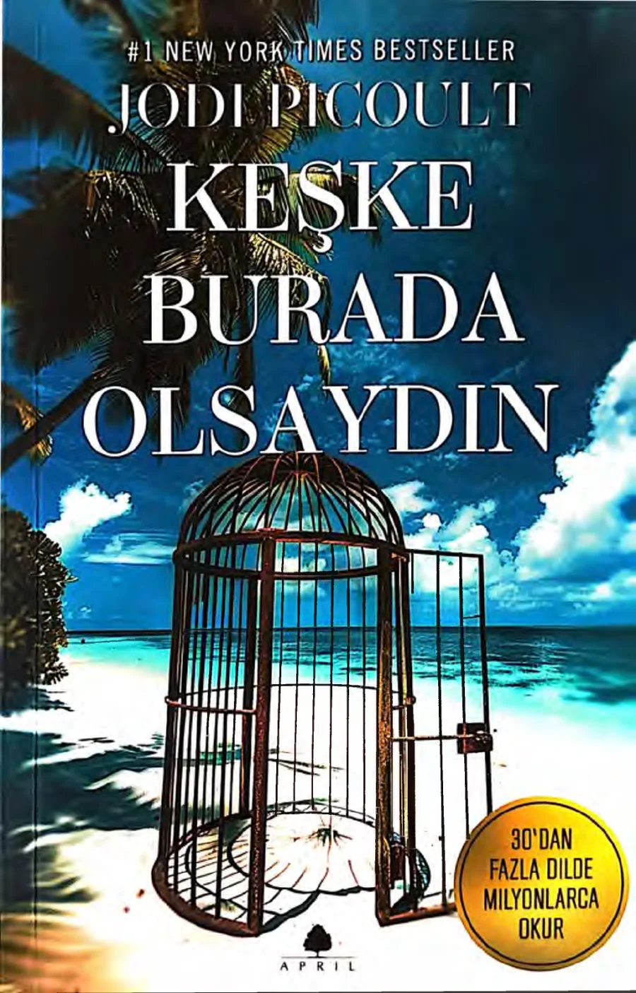 Keşke Burada Olsaydın kapak görseli