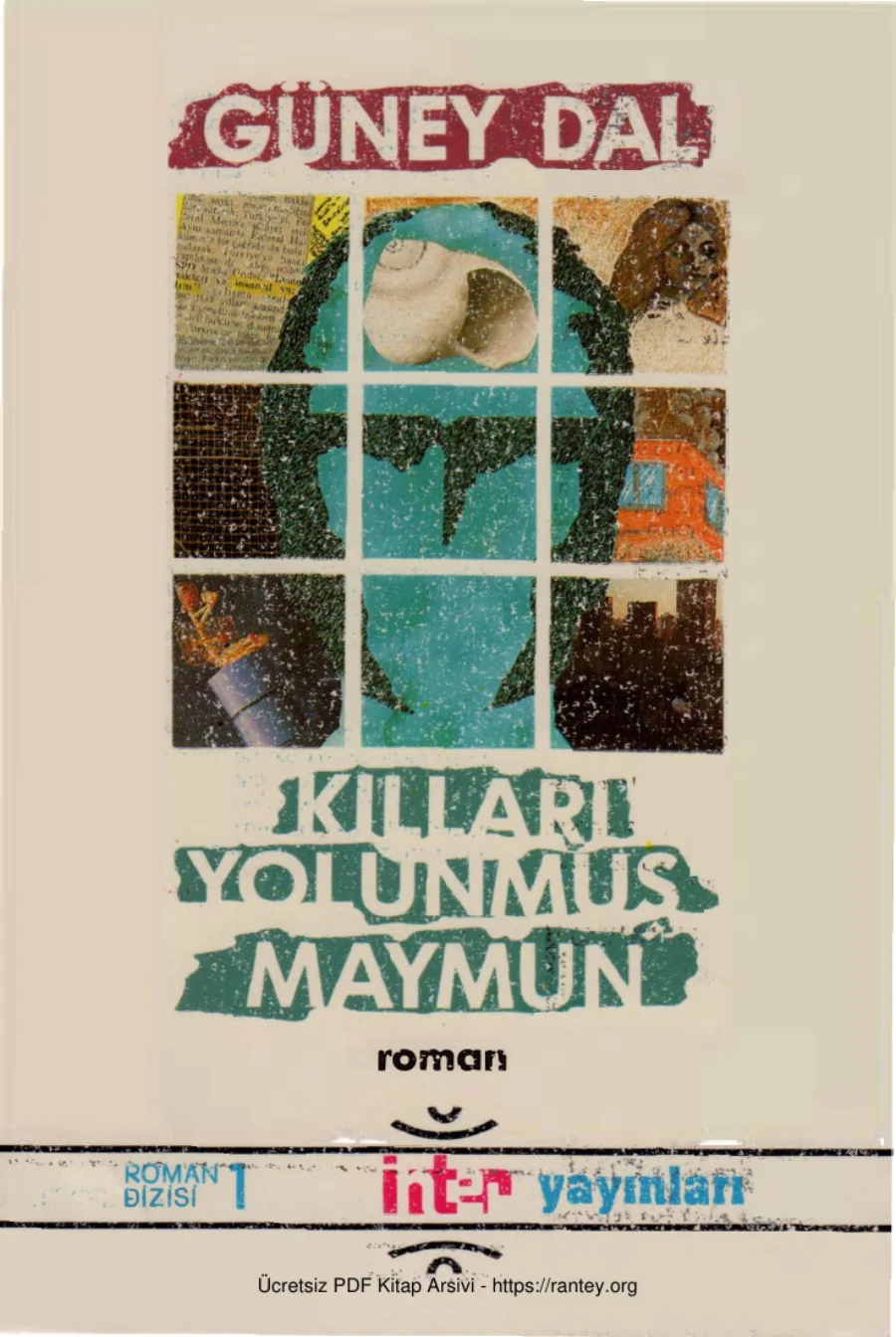 Kılları Yolunmuş Maymun kapak görseli