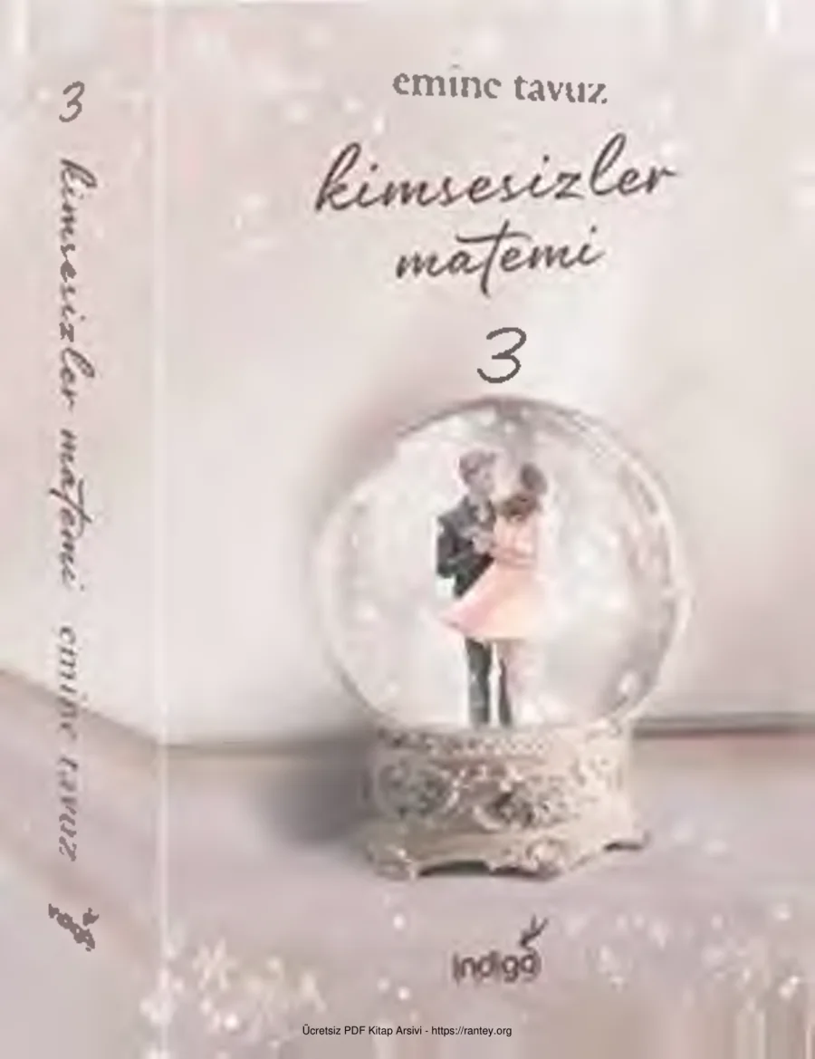 Kimsesizler Matemi 3 Emine Tavu yeni kapak görseli