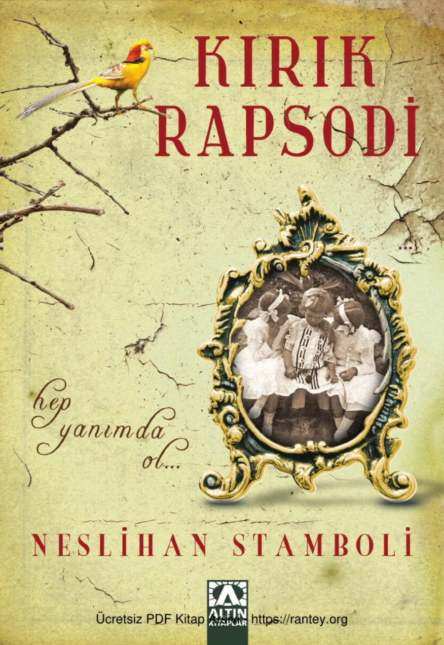 Kırık Rapsodi kapak görseli