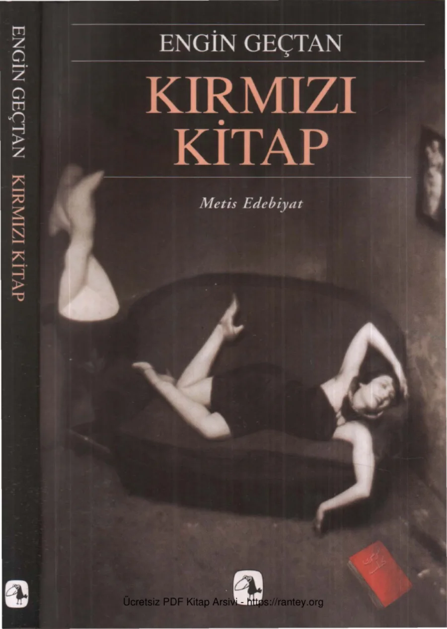 Kırmızı Kitap kapak görseli