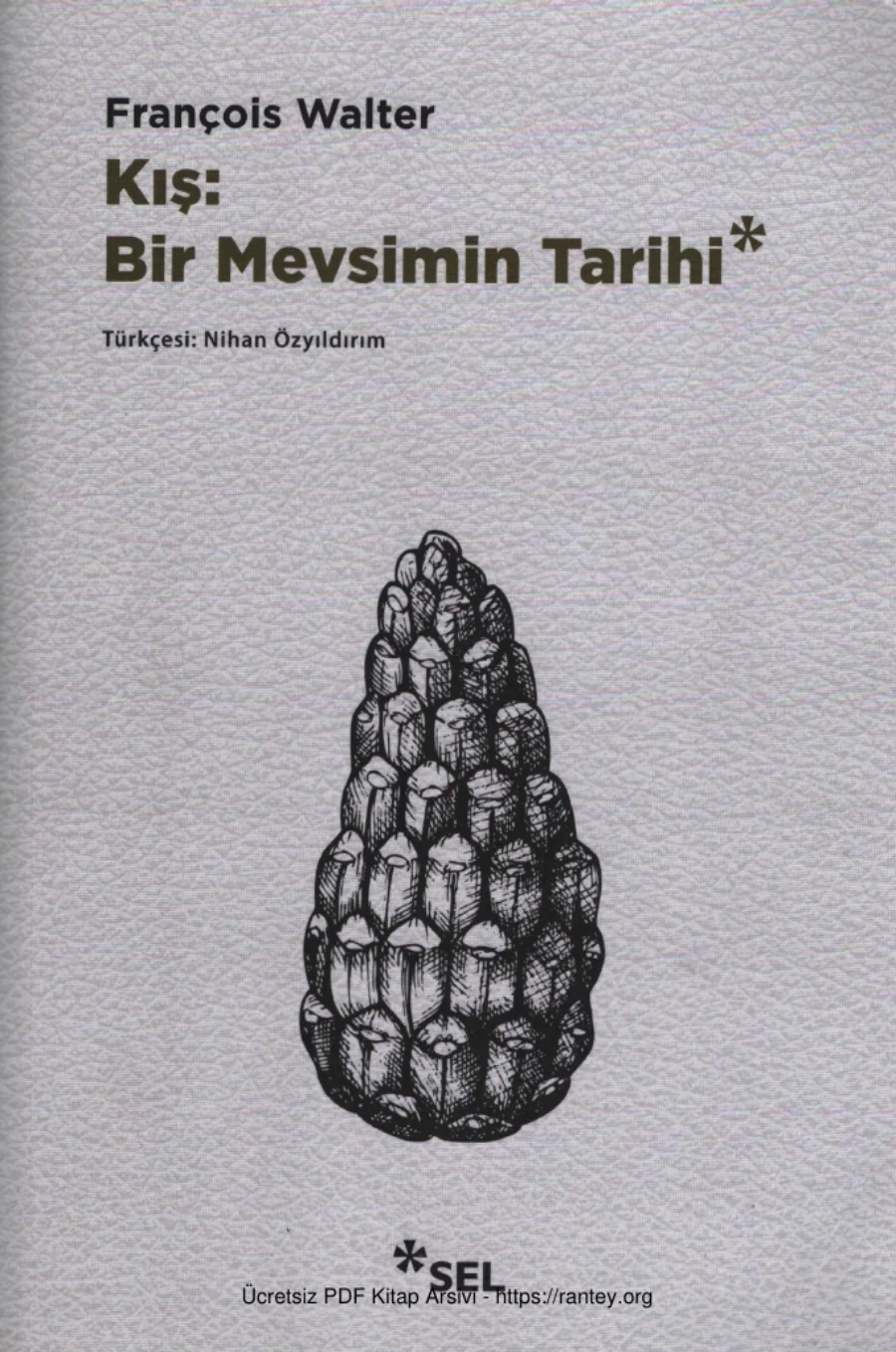 Kış Bir Mevsimin Tarihi kapak görseli